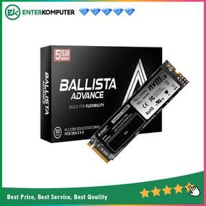 Paradox Gaming Ballista Advance SSD 256GB M.2 NVMe 2280 - foto 1