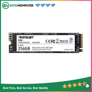 Patriot P300 256GB M.2 2280 PCIe Gen3 x4 - R1700MB/s W1100MB/s - foto 1