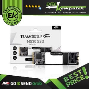 Team MS30 M.2 2280 SATA SSD 1TB - TM8PS7001T0C101 - R 530MB/s & W 480MB/s - foto 1