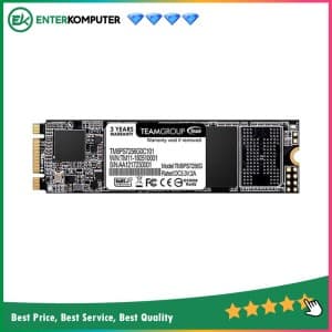 Team MS30 M.2 2280 SATA SSD 256GB - TM8PS7256G0C101 - R 500MB/s & W 400MB/s - foto 1